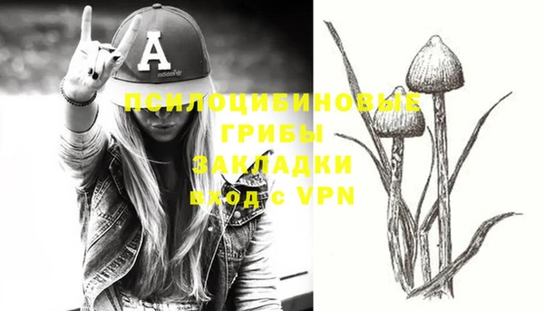 герыч Лиски