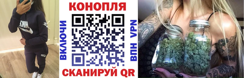 Купить где  Афипский  Каннабис гибрид 